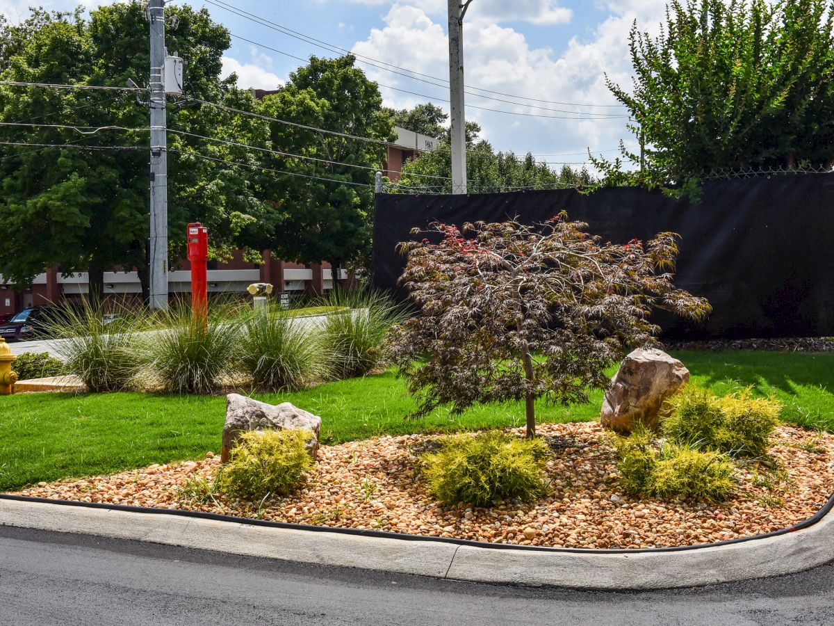 A small landscaped area with a tree, rocks, and plants surrounded by a curb. There are also poles in the background and some trees.