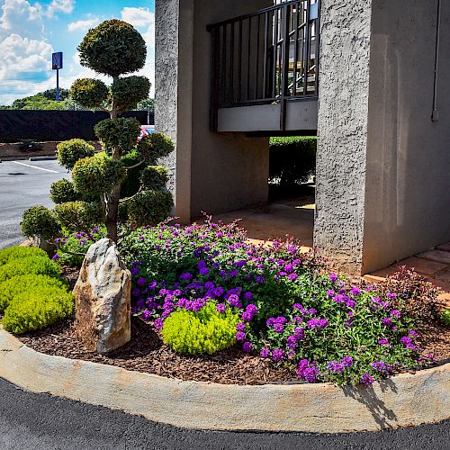 A neatly landscaped garden with purple flowers and trimmed bushes in a parking lot, beside a building with a cone in the background.